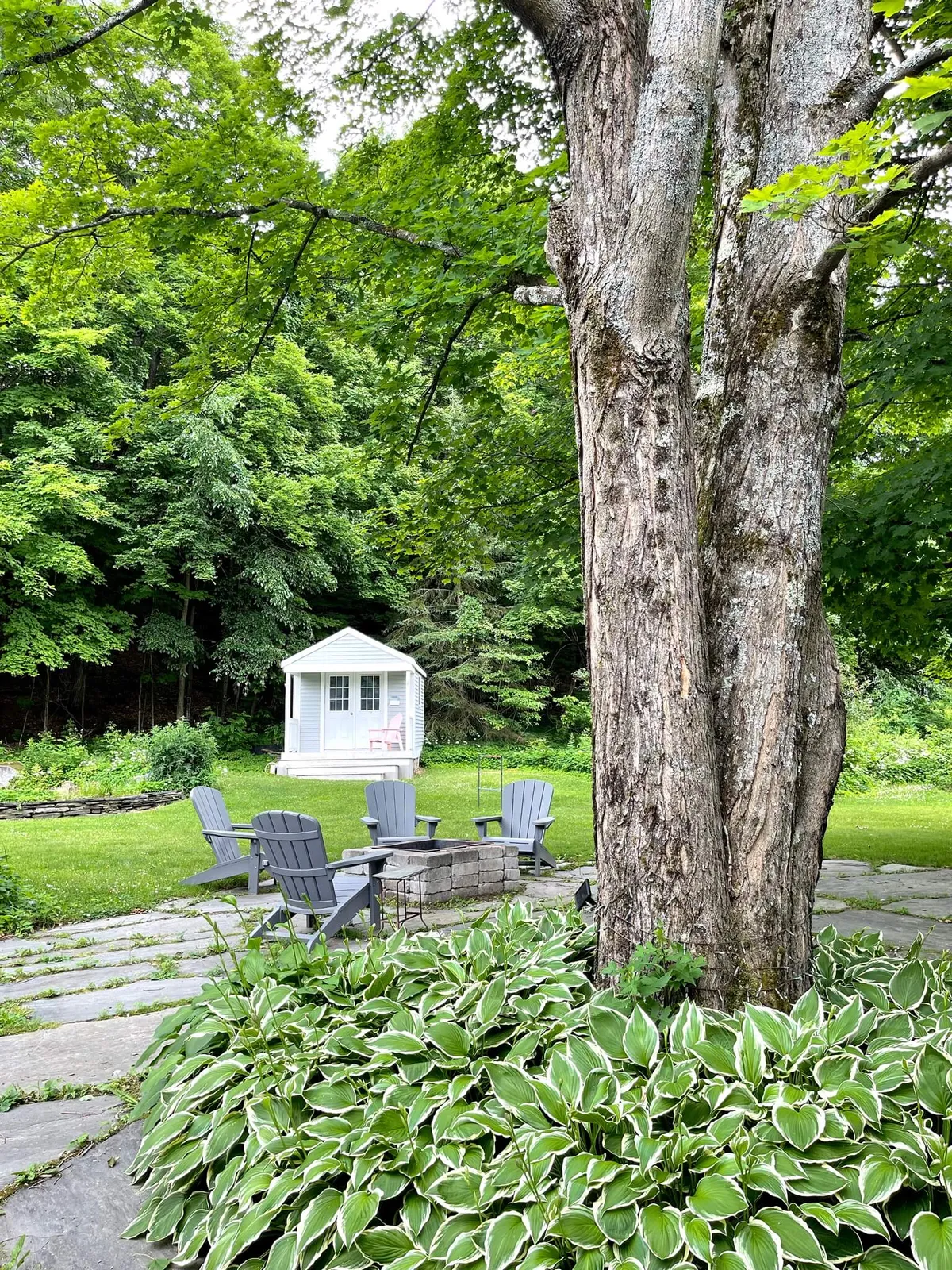 A cozy outdoor seating area shaded by a grand tree surrounds a fire pit, adjacent to a small shed, evoking images of relaxed evening conversations, informal meetings, or group storytelling sessions under the open sky.