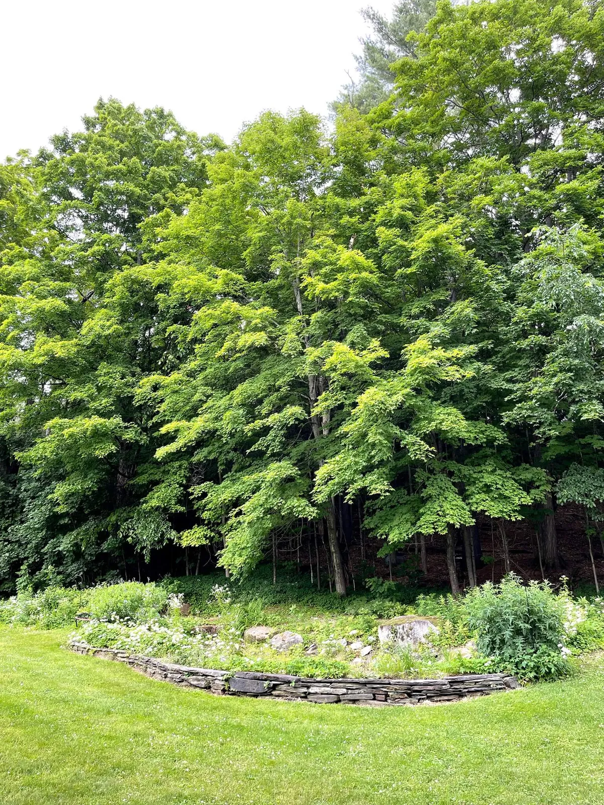 Lush green trees, a sturdy stone wall, and blooming flowers create an inviting outdoor environment ideal for nature walks, team-building exercises, or quiet moments of individual reflection during a retreat.